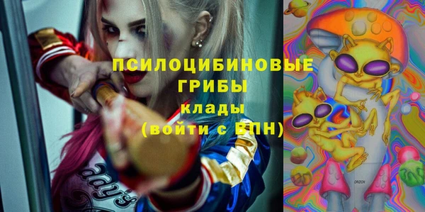 прущие крисы Балахна