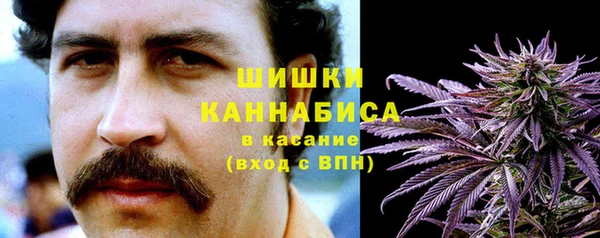 прущие крисы Балахна