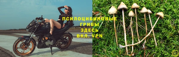 прущие крисы Балахна