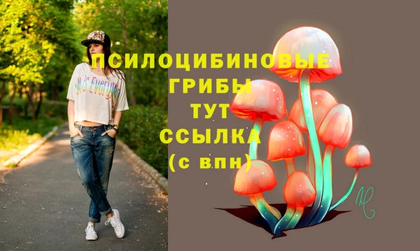 гидра Баксан