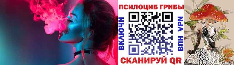 как найти закладки  mega вход  Псилоцибиновые грибы Magic Shrooms  Сковородино 